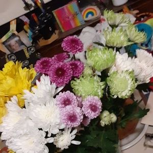 Meet your Posher, Tina